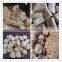Soya Meat Nuggets Processing Line/Tissue/Texture Soya/Vegetable Protein Machine