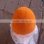 New Coming Nice Concrete Pump Cleaning Sponge Ball