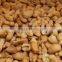 Good price Vietnam cashew nut kernels