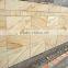 Cheap Yellow Woodvein Sandstone for Wall