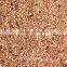 feed sorghum price is very competitive