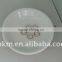 Full Ceramic Deep Groove Ball Bearing 608
