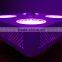 CXA 3070 COB LED Grow Light 400w