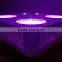 Geyapex SOLO 200w CXA COB LED Grow Light with Full Spectrum Output Best Seller 2015