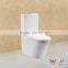 Sensor Wall Mounted Toilet