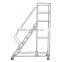Knock Down Steel Movable Climbing Step Ladder Trolley