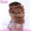 14 Inches Side Part Lace Front Wig Brazilian Human Hair Loose Wave Style Ombre Lace Wig