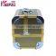 15 Years Experienced Custom Professional Beauty Aluminum Antique Cosmetic Case