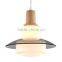 chinese good design glass creative light pendant