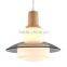 new design guzhen waterproof indoor pendant light