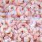 FROZEN RED SHRIMP PUD OR PINK SHRIMP PUD