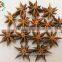 Spice/ Organic Star Aniseeds
