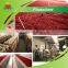 Manufacture Supply Functional Red Yeast Rice Powder
