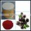 GMP Factory Supply Acai Berry Extract with Anthocyanidins