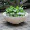 luxury top quality floating bonsai pot fiberglass plants container and flowers pots