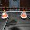 Automatic chicken poultry feeder
