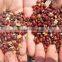 soya bean polishing machine