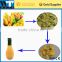 Mango Puree Extractor / Fruit Pulp Juice Making Machine with high efficiency