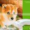 Supernanny Eco-friendly Green NI-CD Battery Dog Hair Hand Clippers / Cordless Pet Clippers SN-810-1