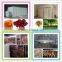 Customization available heated air circulation intelligent control laboratory freeze dryer