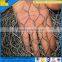 Plant protection guard hexagonal wire mesh,hexagonal planting mesh screen