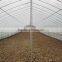 Lower Cost Tunnel Plastic Sheet Greenhouse