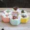 Hot Sale Rainbow Hexagon Flower Pot Ceramic for Planter