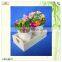 handmade engraved heart small fruit decorative plywood wooden crates