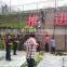 Outdoor use artificial decorative wall grass plants