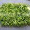 Plastic fern plant mat ivy mat