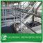 Galvanized low carbon steel Q235 ball joint railing for park zoo