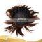 Custom Made Beauty Hair 100% Unprocessed Brazilian Human Hair Short Wig