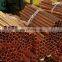 Copper Tube / Copper Pipe Price