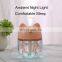 Mini Portable Diffuser  Cool Mist Air Humidifier Mist Maker with colorful Night Lighting