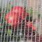 Good Quality Woven Drape Anti Bird Netting Vineyard 10 Years