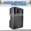 Professional Powered Active Big Speaker CSW15AMK-BT