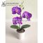 mini artificial orchid melamine flower pot from MX0902-01