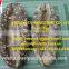 Dried Sea Cucumber ( black teat fish )
