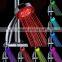 Material ABS LED Shower SDS-A25