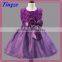 Fashion wholesale boutique beautiful fairy tale princess party dresses for girls of 7 years old TR-WS17