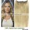 Clip In Hair Extension Color #99J Snap Clips Human Remy Hair Clip In Hair Extensions Brazilian Remy Hair