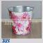 Elegant paint gardening bucket