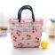 600D Promotion Printing Cooler Bag Foil Linner
