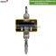 500kg C3 Hot Sales Portable Industrial Hanging Scale