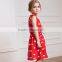 2015 3 Year Old Girl Tutu Puffy Flower Dress