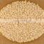 Sesame - Sortex