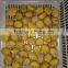 good quality wholesale peeled chestnut from china