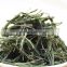 2015 Harvested HuangShan Mao Feng Tea,Chinese Green Tea,Chinese Green Tea