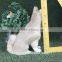 animal furry lifelike realistic animal figurines simulated dog