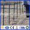 Hot Dipped Galvanized Or Painted Green T Post For Grassland